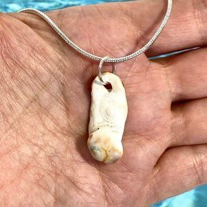 Tampa Bay Fossil Coral Botryoidal Agate Knob Pendant Silver Plated Necklace